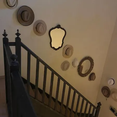 Belle *